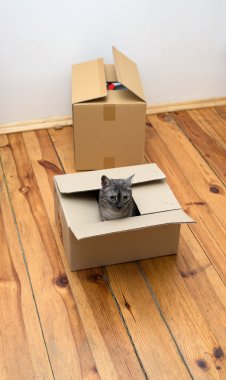 Taşınma günü - odasında karton kutular