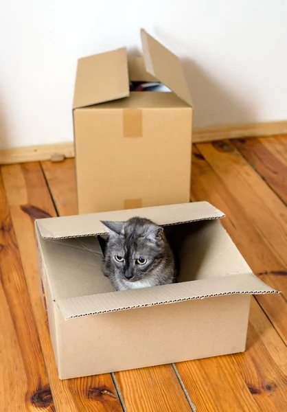 День переезда - картонные коробки в номере — стоковое фото