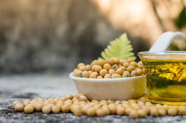 Sağlıklı soya fasulyesi protein ve vitamin açısından yüksektir..