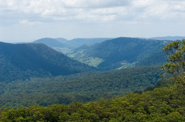 Wunderschönes Tal im tropischen Regenwald von oben — Stockfoto