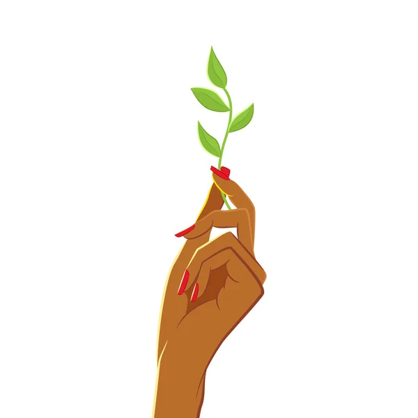 African woman's hand holding green twig — Vector de stock