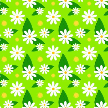 Çiçek bahar desen papatyalar ve karahindiba