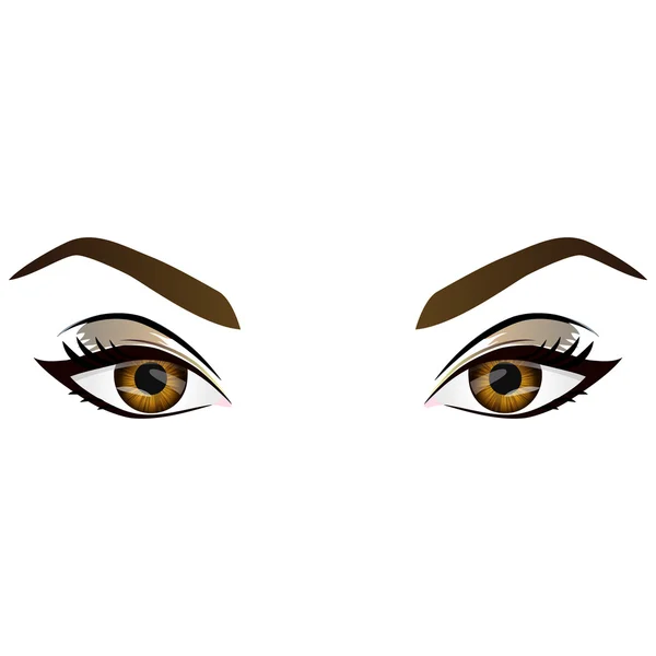 Realistische Cartoon vektor weiblich braune Augen und Augenbrauen — Stockvektor