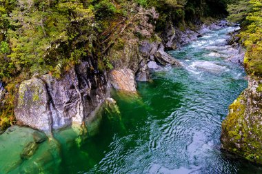 Yeni Zelanda 'daki Mavi Haast Geçidi Havuzları