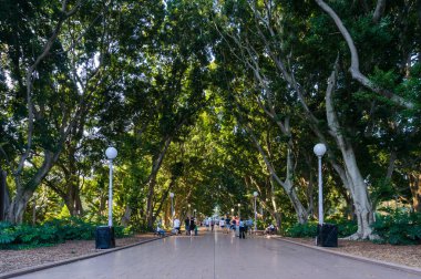 Hyde park Kuzey sokak