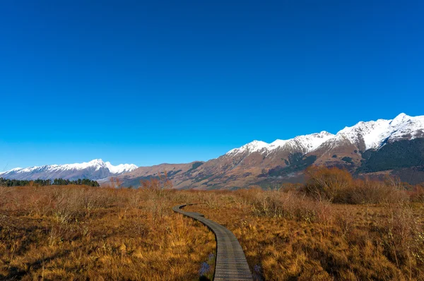 Wanderweg entlang der wilden alpiner vegetation — Stockfoto