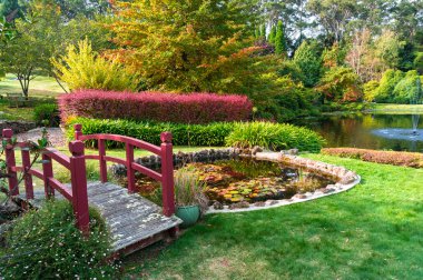 Sonbahar park. Bisley Bahçe