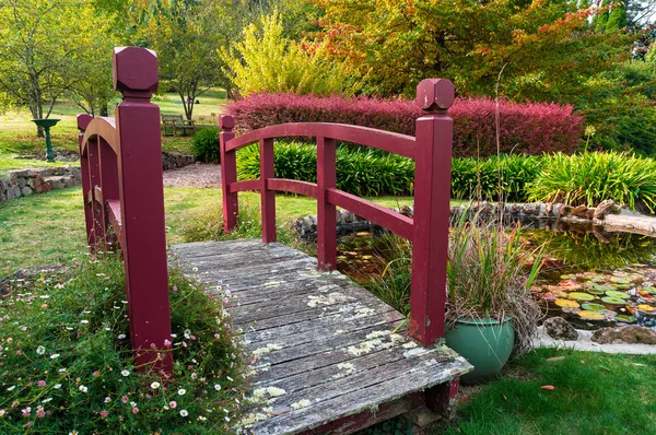 Autumn park. Bisley garden — Stock Photo, Image