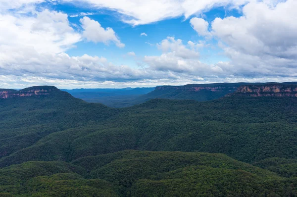 Australischen Eukalyptus Wald der Blue Mountains National Park — Stockfoto