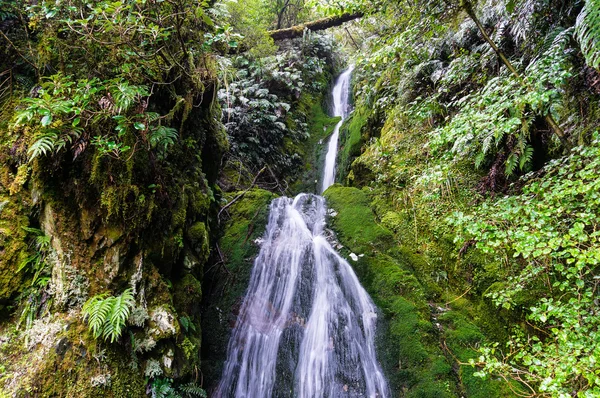 Cachoeira na floresta tropical, Nova Zelândia — Fotografia de Stock