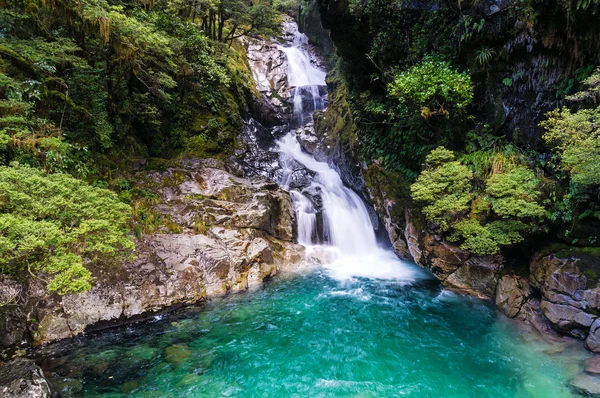 Cachoeira na floresta tropical, Nova Zelândia — Fotografia de Stock