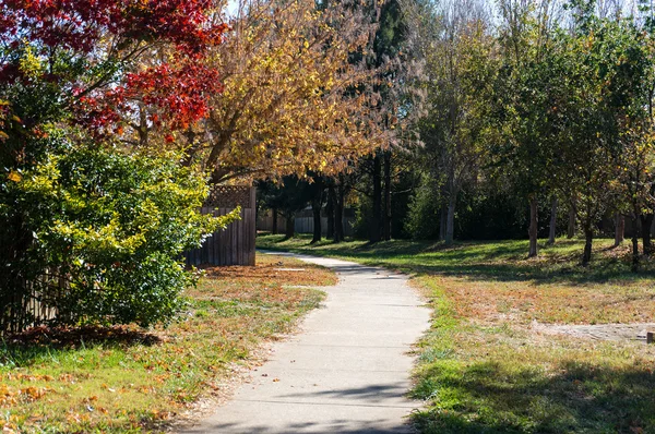 Countryside alley at autumn with colourful trees — Stock Photo, Image