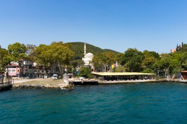 Kırsal manzara ve Camii ile Pier