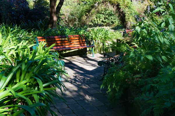 庭のベンチ。熱帯公園の風景 — ストック写真