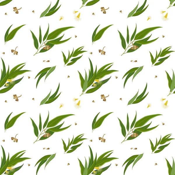 Безшовний візерунок з листям евкаліпта, насінням і квітами — стоковий вектор