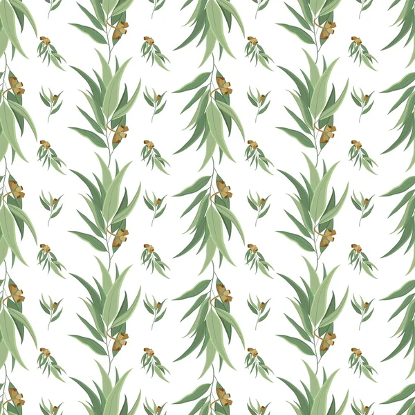 Elegant vector seamless pattern with eucalyptus leaves and seeds — Stock Vector