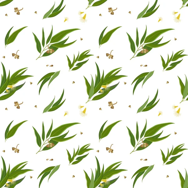 Seamless pattern with eucalyptus leaves, seeds and flowers Stock Illustration