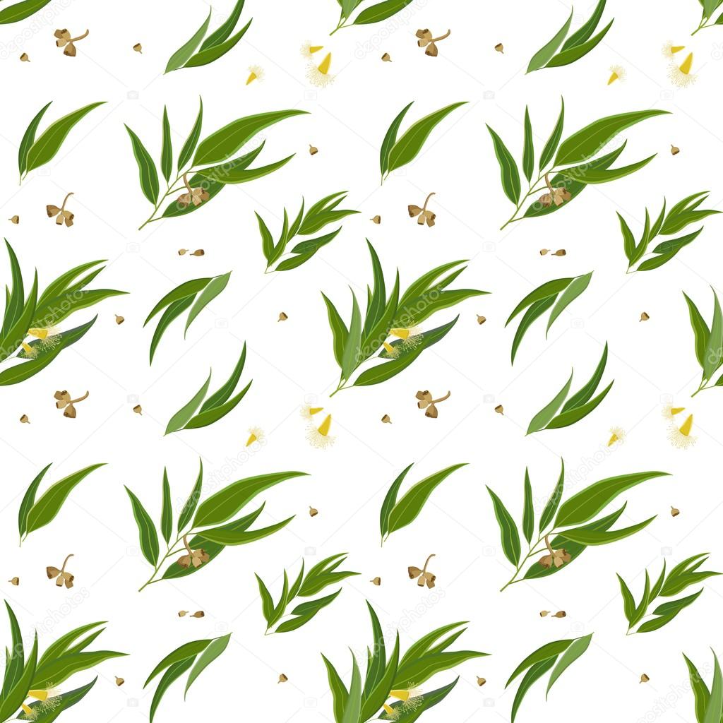 Seamless pattern with eucalyptus leaves, seeds and flowers