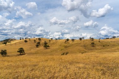 Avustralya outback peyzaj