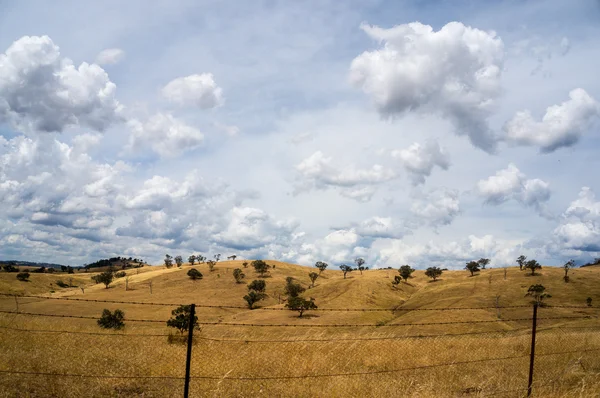 Australijskiego krajobrazu wiejskiego w suszy — Zdjęcie stockowe