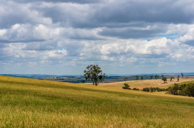 Avustralya outback peyzaj