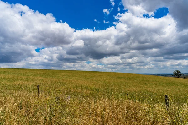 Vackra fält och ljusa blå himmel med vita moln — Stockfoto