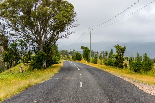 Wiejskiej drodze, w Górach Błękitnych, Nsw, Australia — Zdjęcie stockowe