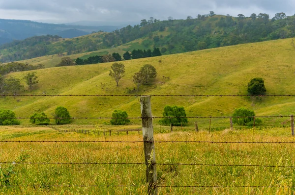 Beautiful rural landscape. Australian outback — Stock Photo, Image