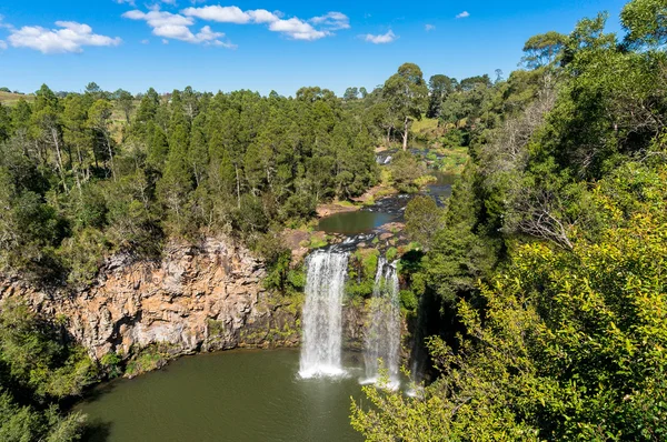 Dangar Cataratas, Dorrigo, Nsw, Austrália — Fotografia de Stock