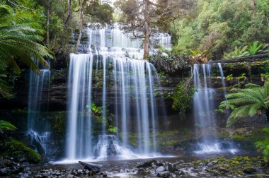 Mount alan Milli Parkı, Tasmanya Falls'ta Russell