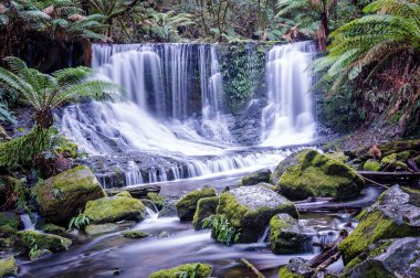 Horseshoe Falls Mount alan Milli Parkı, Tasmania'deki / daki