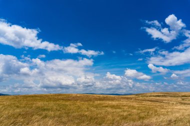 Sonbahar alan, Avustralya