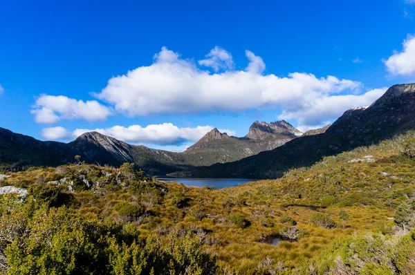 Гора колисці і Голуб озеро Тасманія, Австралія — стокове фото
