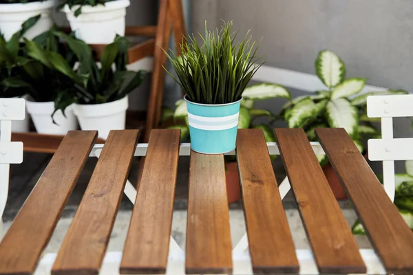 Mesa de madera con maceta. Mesa de madera plana —  Fotos de Stock