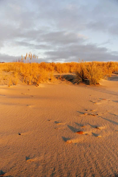 Hohe Dünen mit Dünengras und einem breiten Strand darunter — Stockfoto
