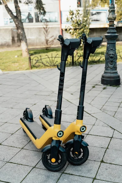 Electric scooters for rental . Vehicle rent service background. Electric kick scooters for transportation