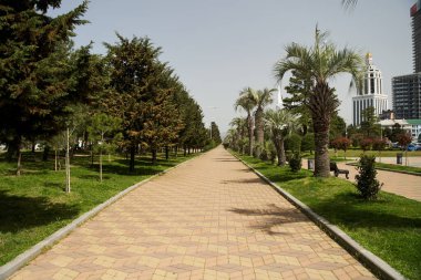 Güneşli bir günde Batumi New Boulevard 'da. Yol boyunca palmiye ağaçları. Batum. Georgia mı? Yüksek kalite fotoğraf