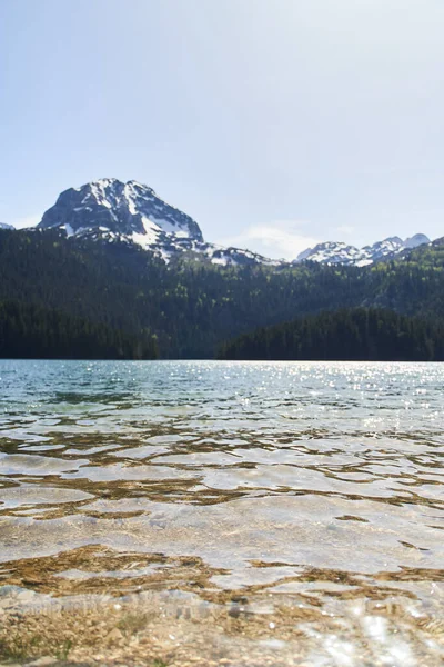 Czarne Jezioro Naturalny Krajobraz Jezioro Górskie Zabljak Czarnogóra Park Narodowy — Zdjęcie stockowe