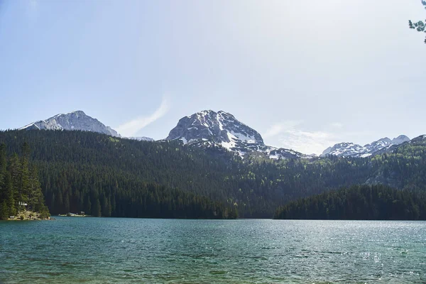 Czarne Jezioro Naturalny Krajobraz Jezioro Górskie Zabljak Czarnogóra Park Narodowy — Zdjęcie stockowe