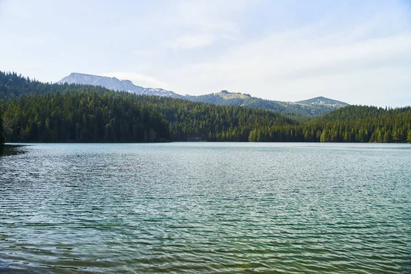 Czarne Jezioro Naturalny Krajobraz Jezioro Górskie Zabljak Czarnogóra Park Narodowy — Zdjęcie stockowe