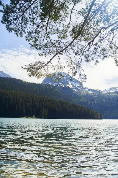 Czarne Jezioro Naturalny Krajobraz Jezioro Górskie Zabljak Czarnogóra Park Narodowy — Zdjęcie stockowe