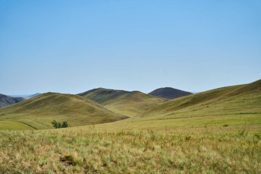 Uzun Dağlar Tepesi manzarası. Ural dağlarının başlangıcı. Orenburg bölgesi. Yüksek kalite fotoğraf