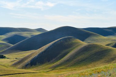 Uzun Dağlar Tepesi manzarası. Ural dağlarının başlangıcı. Orenburg bölgesi. Yüksek kalite fotoğraf