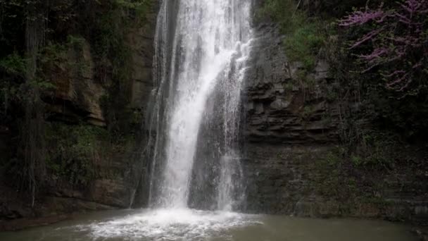 第比利斯国家植物园。第比利斯植物园的瀑布 — 图库视频影像