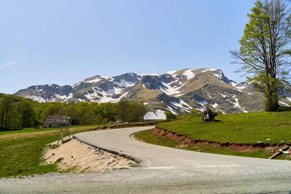 Uma casa solitária num prado verde contra o pano de fundo de uma montanha com neve. Montenegro — Fotografia de Stock