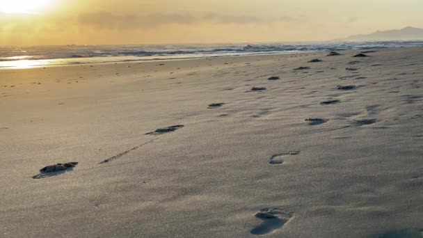 Wellen an einem tropischen Sandstrand. Goldener Sonnenuntergang an einem tropischen Strand. Wellen im Morgengrauen — Stockvideo