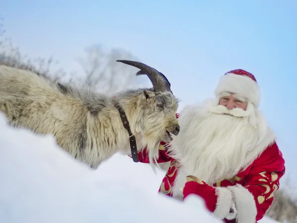 Père Noël avec une chèvre — Photo