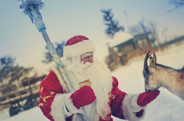 Kerstman met een geit — Stockfoto