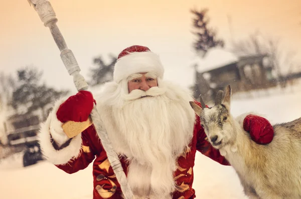 Papai Noel com uma cabra — Fotografia de Stock