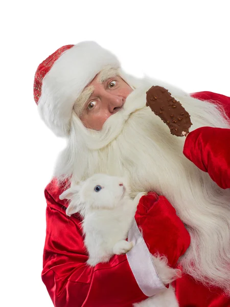 サンタ クロースと彼のウサギ — ストック写真